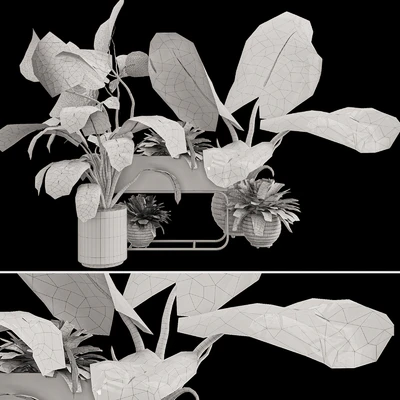 Plant Collection Set 07 — Вид 4