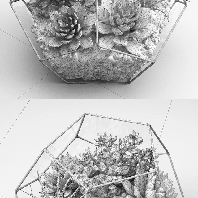 Florarium (Competition) — Descargar