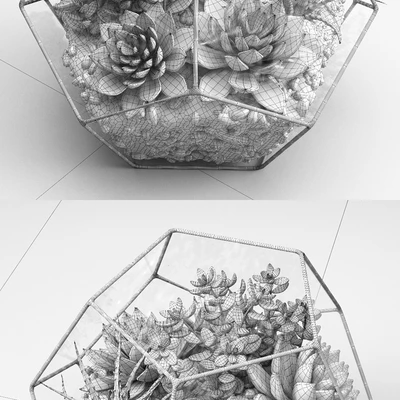Florarium (Competition) — Ver 2