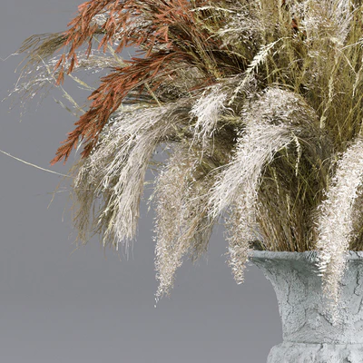 Bouquet Collection 13 - Decorative Dried Branches and Pampas — Ver 4