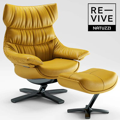 Armchair Re-vive by Natuzzi — Ver 1