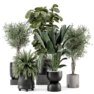 Indoor Plants in Ferm Living Bau Pot Large - Set 1277 — Ver 1