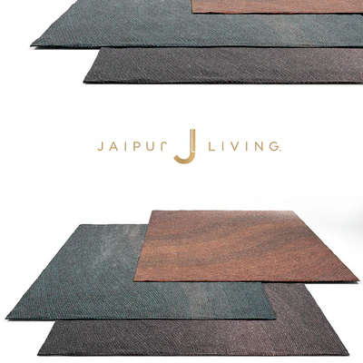 Jaipur Living Shags Rug Set 1 — Descargar