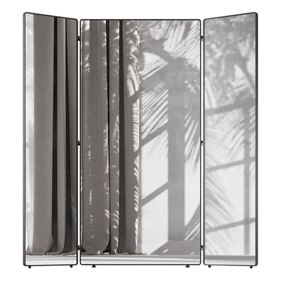 Mirror XL, Barbier La Redoute — Ver 1