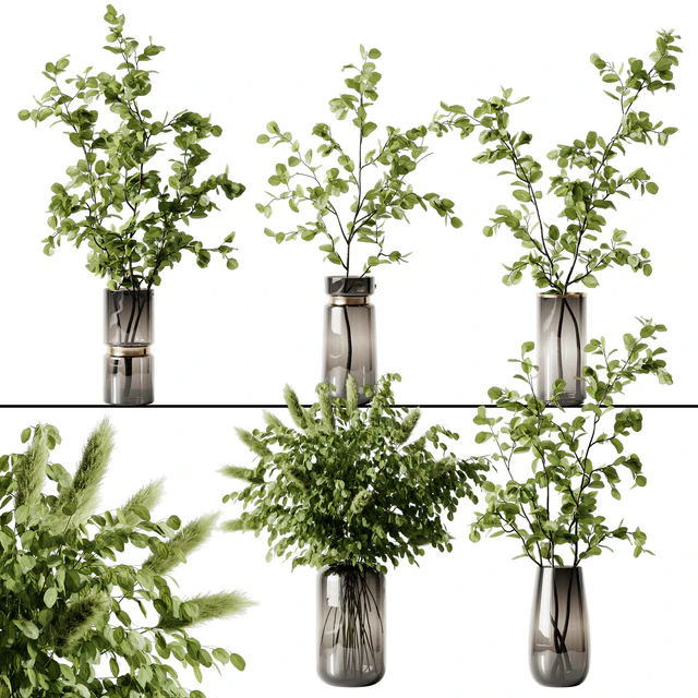 Plant 3 — Descargar