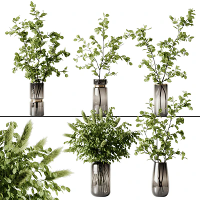 Plant 3 — Ver 1