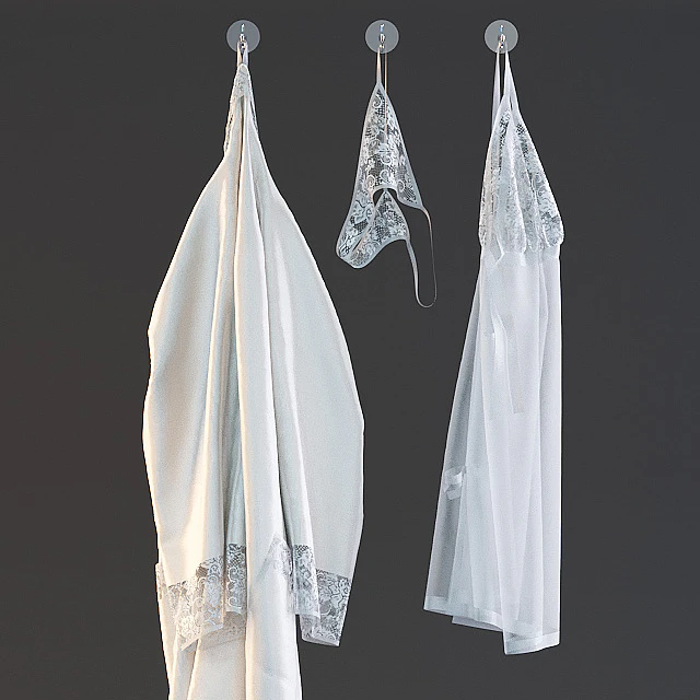 A set of women's clothing — Descargar