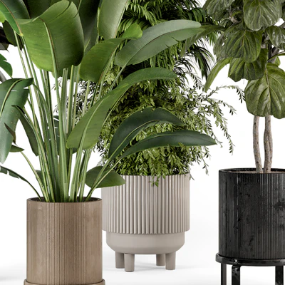 Indoor Plants in Ferm Living Bau Pot Large - Set 734 — Ver 4