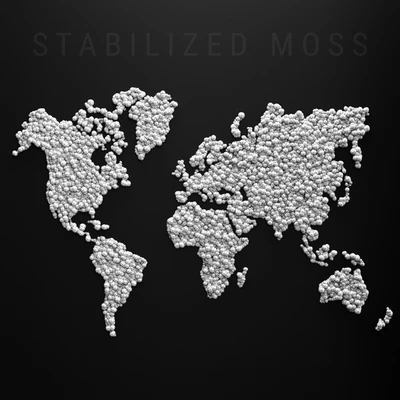 Stabilized moss - world map — Вид 2
