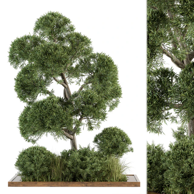 Garden set Tree and Bush - Garden Set 16 — Descargar