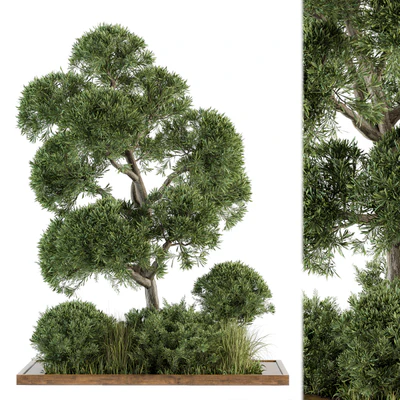 Garden set Tree and Bush - Garden Set 16 — Ver 1