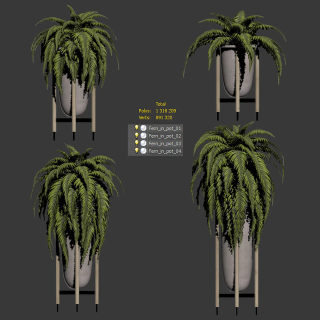 Fern in pots. 4 models — Descargar