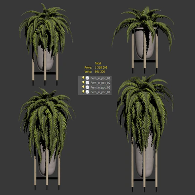 Fern in pots. 4 models — Ver 2