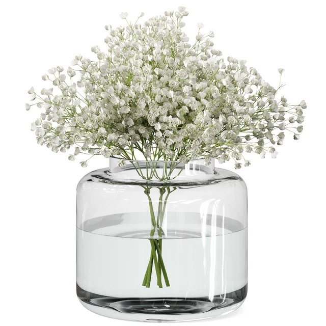 Bouquet Set 08 Gypsophila with IKEA Konstfull vase — Скачать