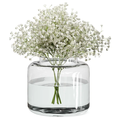 Bouquet Set 08 Gypsophila with IKEA Konstfull vase — Вид 1