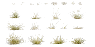 wild grass 005 — Descargar
