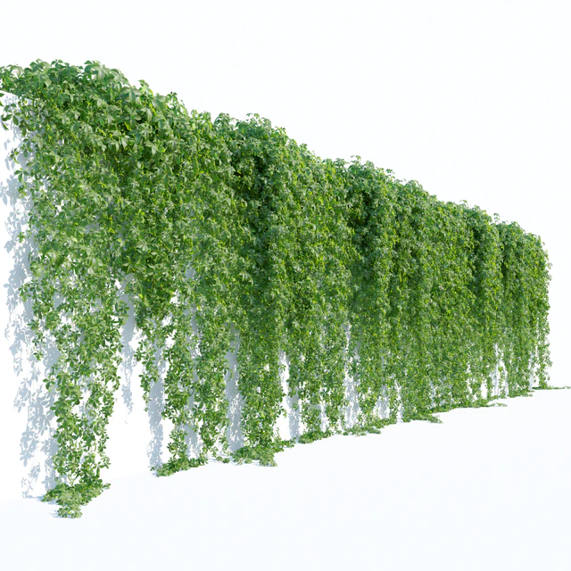 Hanging plant 49 — Download