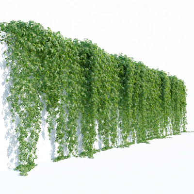 Hanging plant 49 — View 5