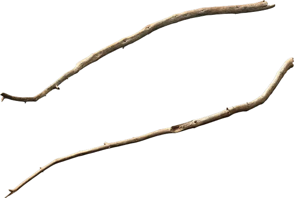 dead tree branch 001 — Descargar