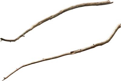 dead tree branch 001 — Descargar