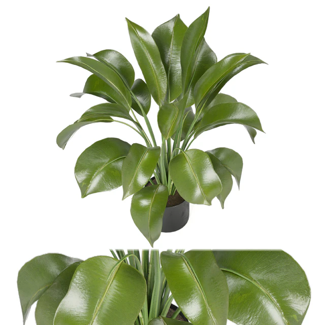 Indoor Plants in Ferm Living Bau Pot Large - Set 136 — Скачать