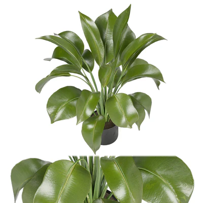 Indoor Plants in Ferm Living Bau Pot Large - Set 136 — Вид 3