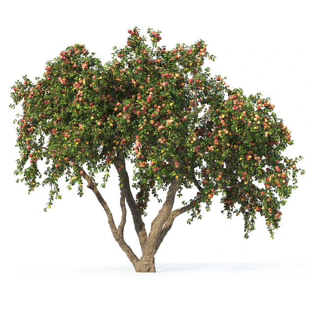 Apple tree — Descargar