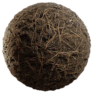 grass dried 003 — Скачать