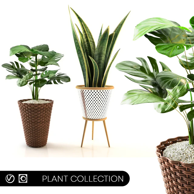 plant collection set 02 — Скачать