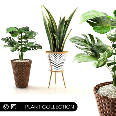 plant collection set 02 — Вид 1