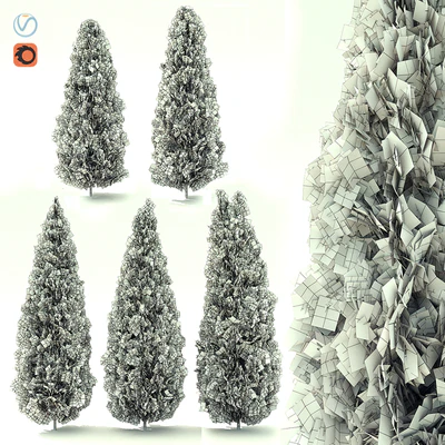 Thuja — Ver 2