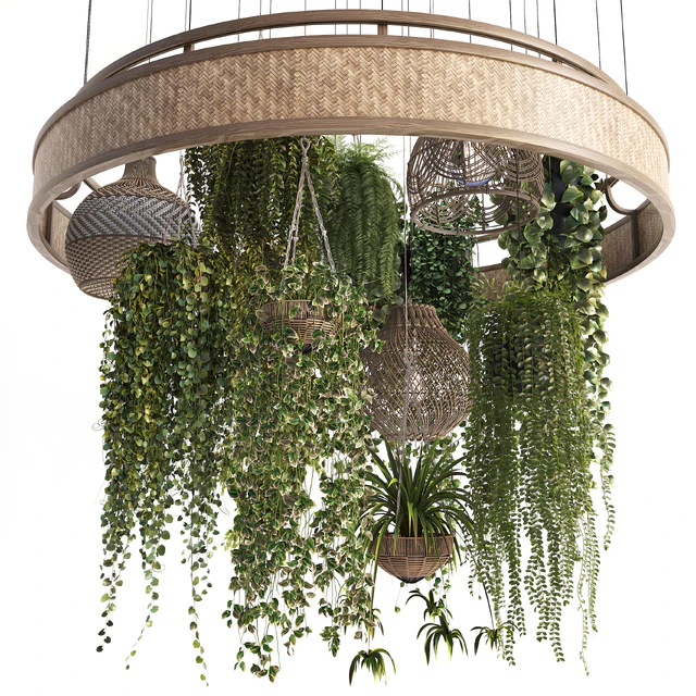 Plants with Wicker Pendants — Скачать