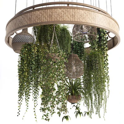 Plants with Wicker Pendants — Вид 1