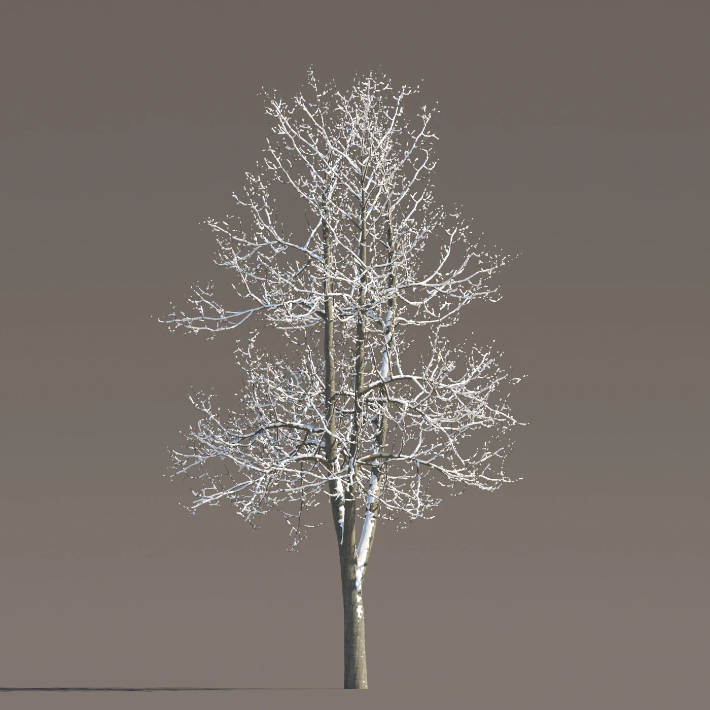067 winter — Descargar