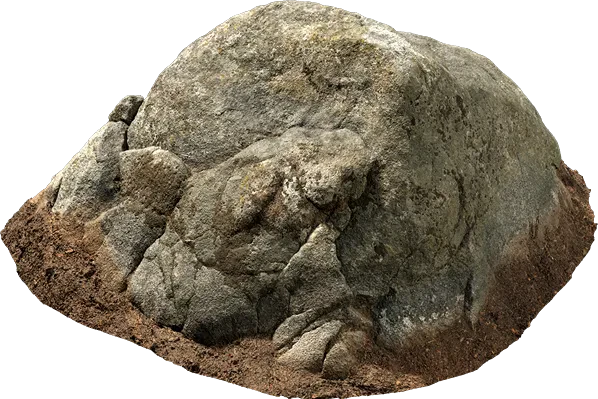 mossy forest boulder 013 — Descargar
