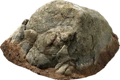 mossy forest boulder 013 — Descargar