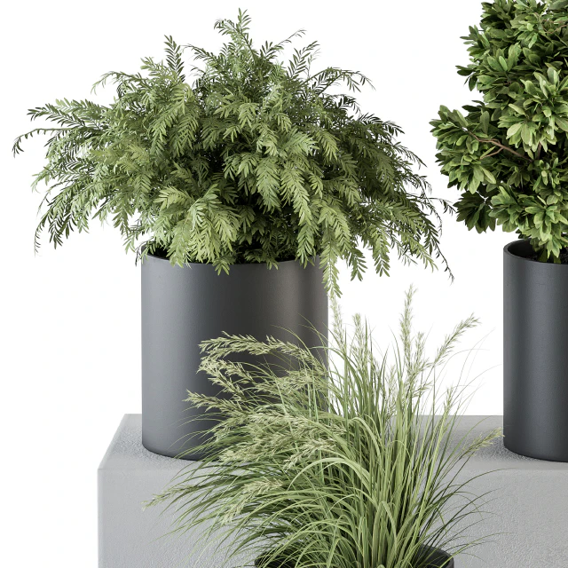indoor Plant Set 305 - Small Plant pot — Descargar