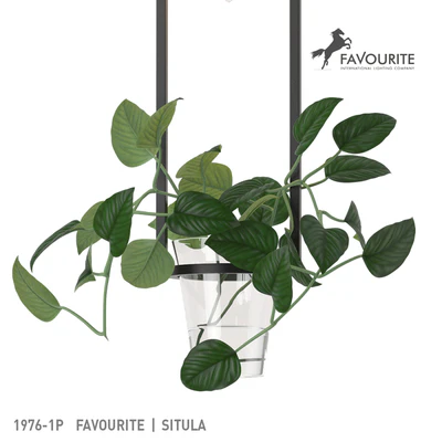 Favourite 1976-1P — Вид 2