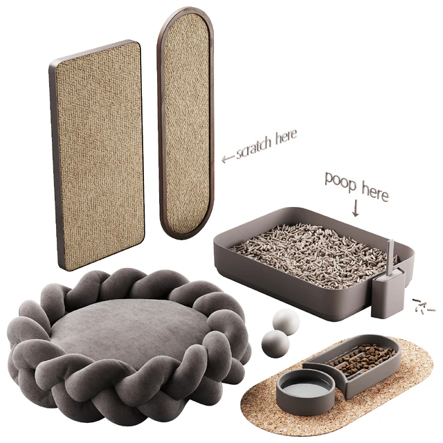 448 pets accessories 01 equipment for cats and dogs P1 — Descargar
