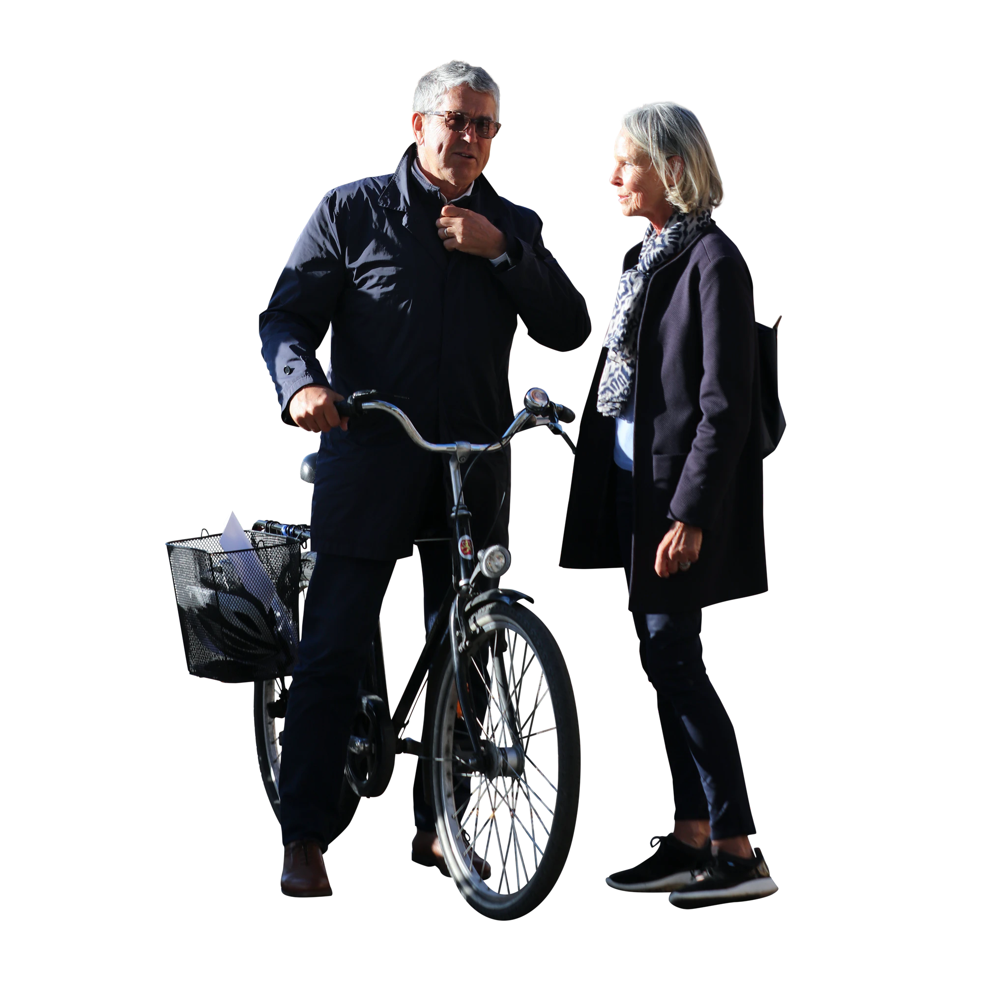 3126 — Descargar
