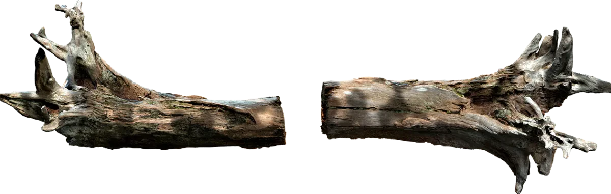 wooden log 006 — Descargar