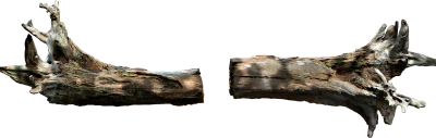 wooden log 006 — Descargar