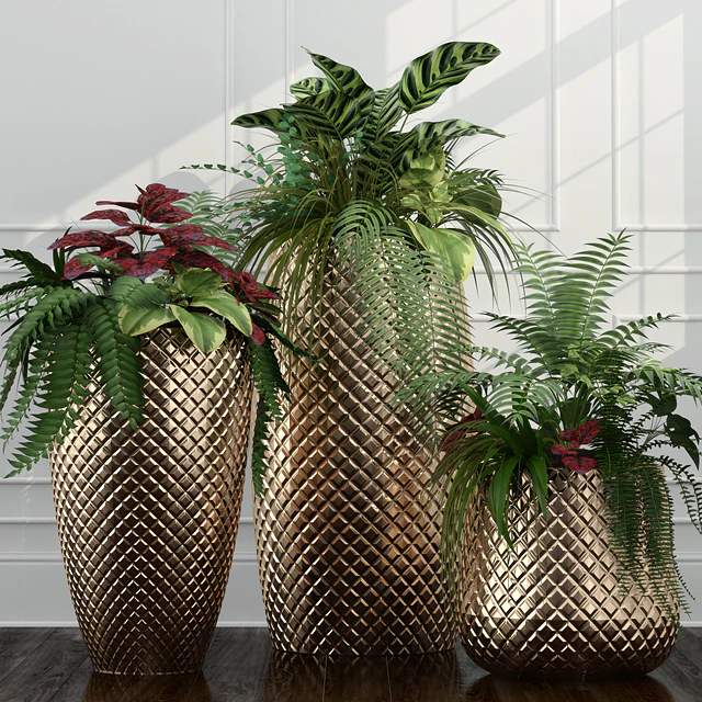 Room plants 11 — Descargar