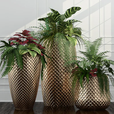 Room plants 11 — Ver 1