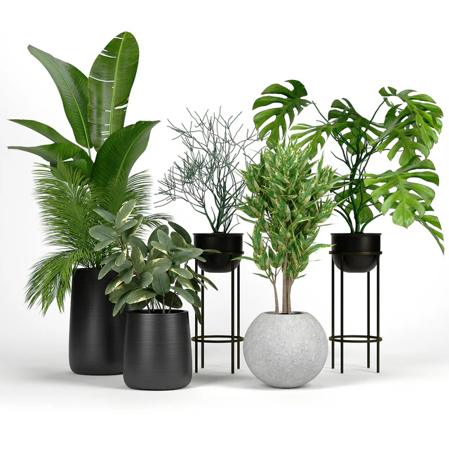 Set Crate and Barrel 04 — Скачать