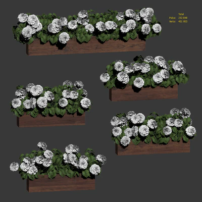 Hydrangea plant in a flowerpot for the facade. 5 models — Ver 3