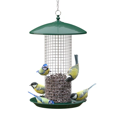 Great Tits and Blue Tits at bird feeder — Вид 1