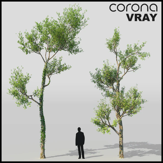 Tree Grab — Скачать