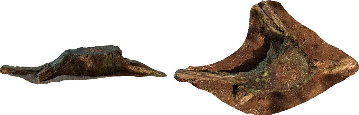 lichen stump 001 — Скачать