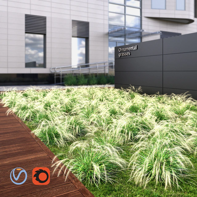 Ornamental grass — Descargar